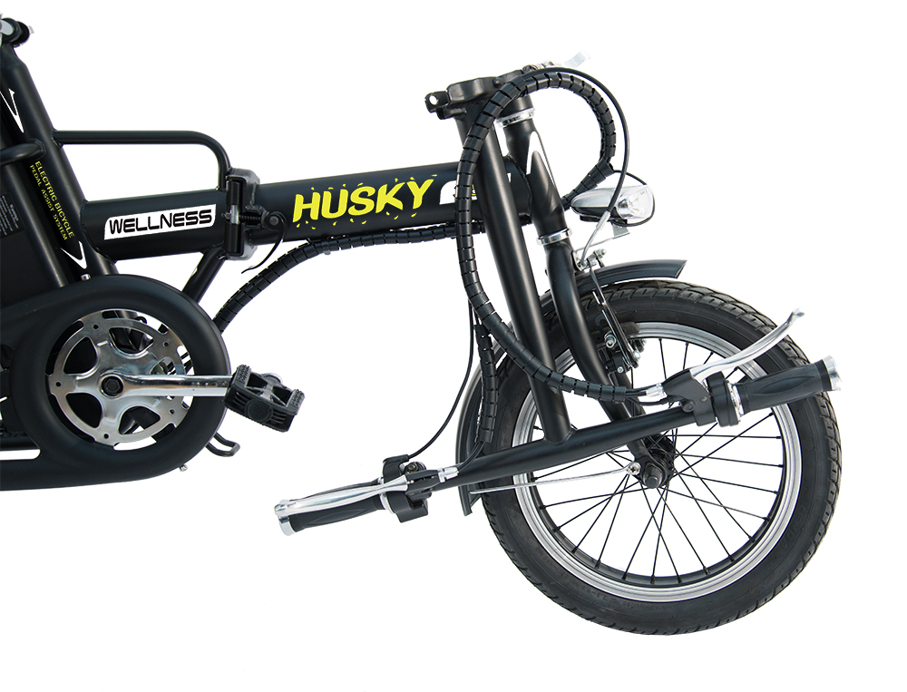 Электровелосипед WELLNESS HUSKY 350